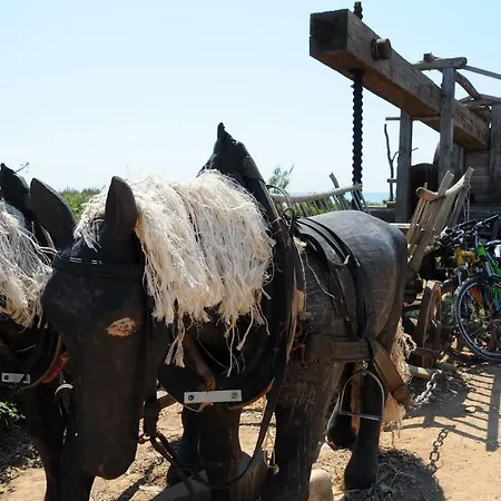 Ferienhaus Valentina *