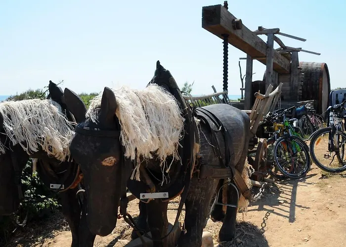 Σπίτι διακοπών Valentina *